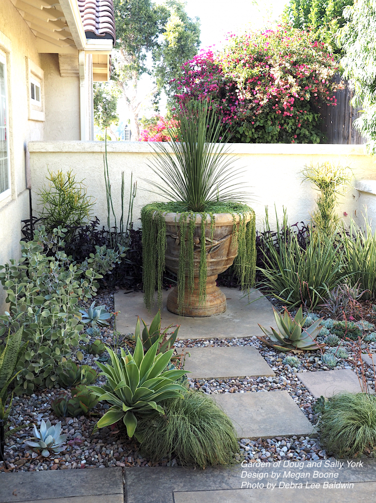 Gallery of large pots of succulents