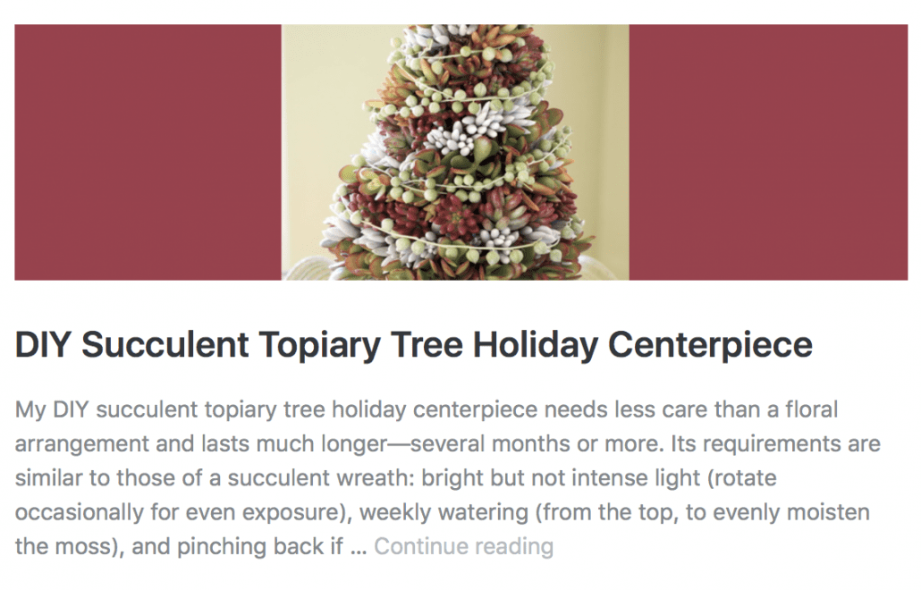Succulent Topiary Tree