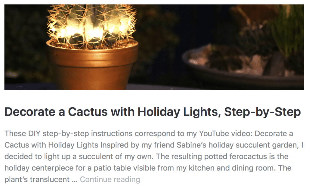 Decorate a cactus w lights