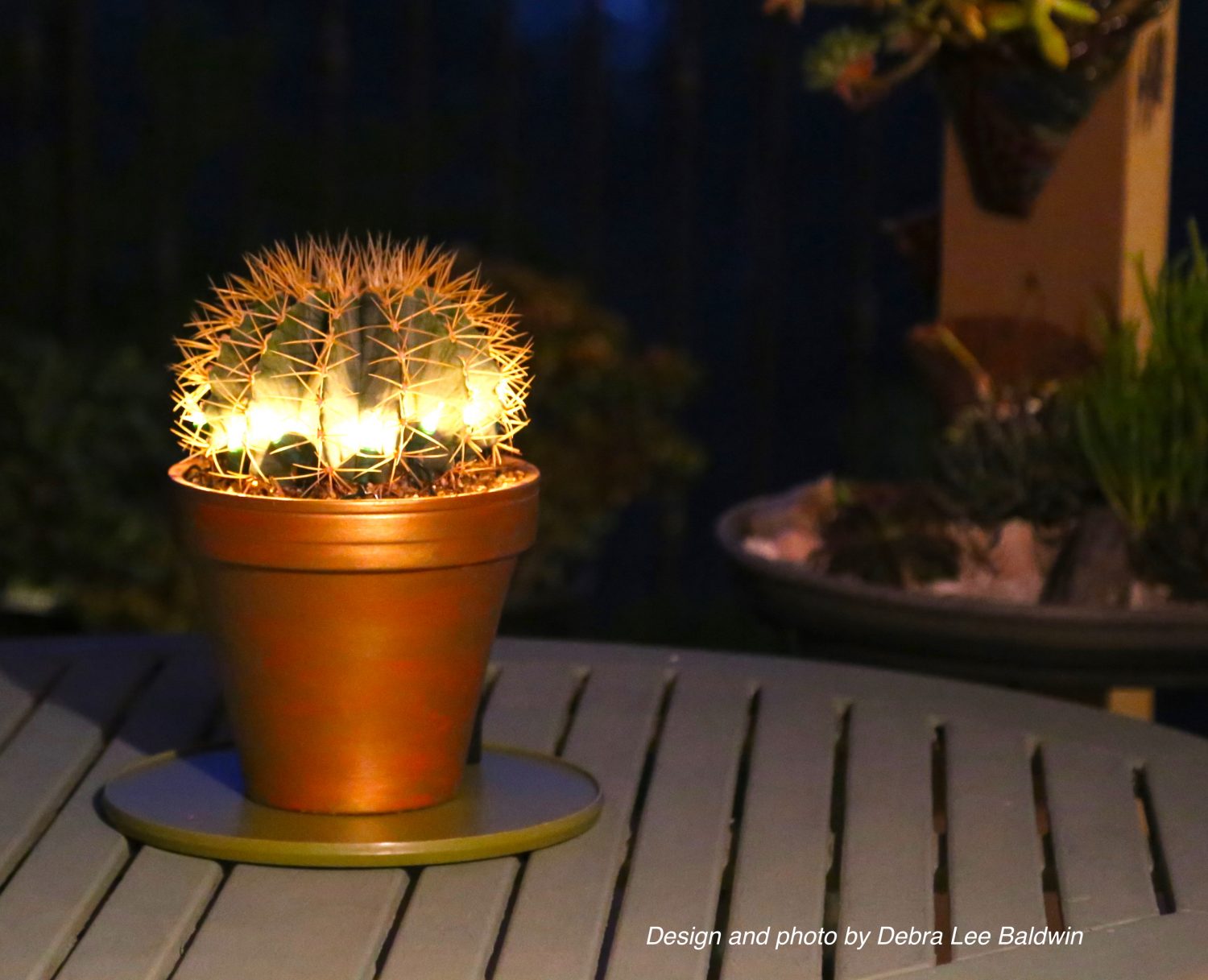 Decorate a Cactus with Holiday Lights, StepbyStep Succulent Design