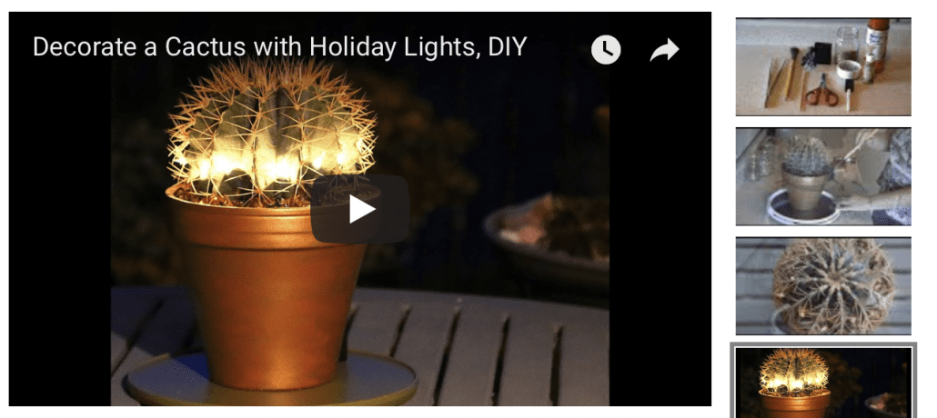 Decorate a cactus with holiday lights