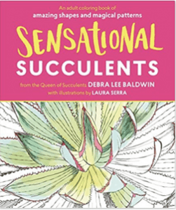 Sensational Succulents coloring book