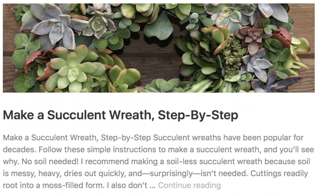 Succulent wreath how-to