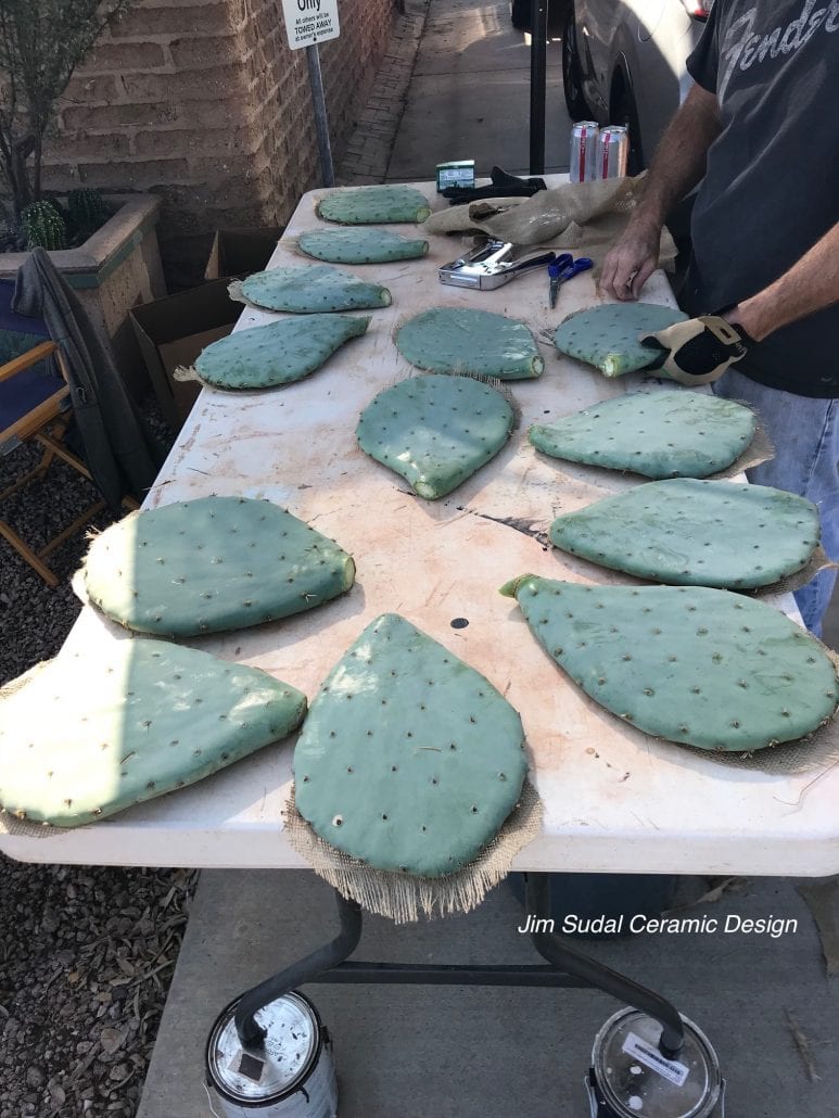 Prepping cactus pads for holiday tree