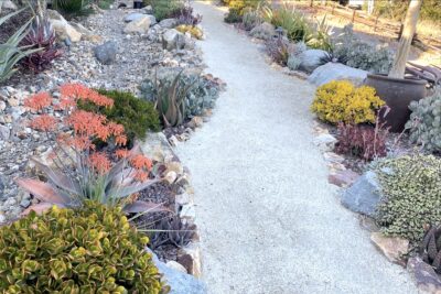 Succulent garden pathway (c) Debra Lee Baldwin 