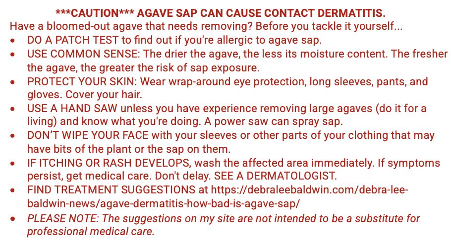 Agave dermatitis warning (c) Debra Lee Baldwin 