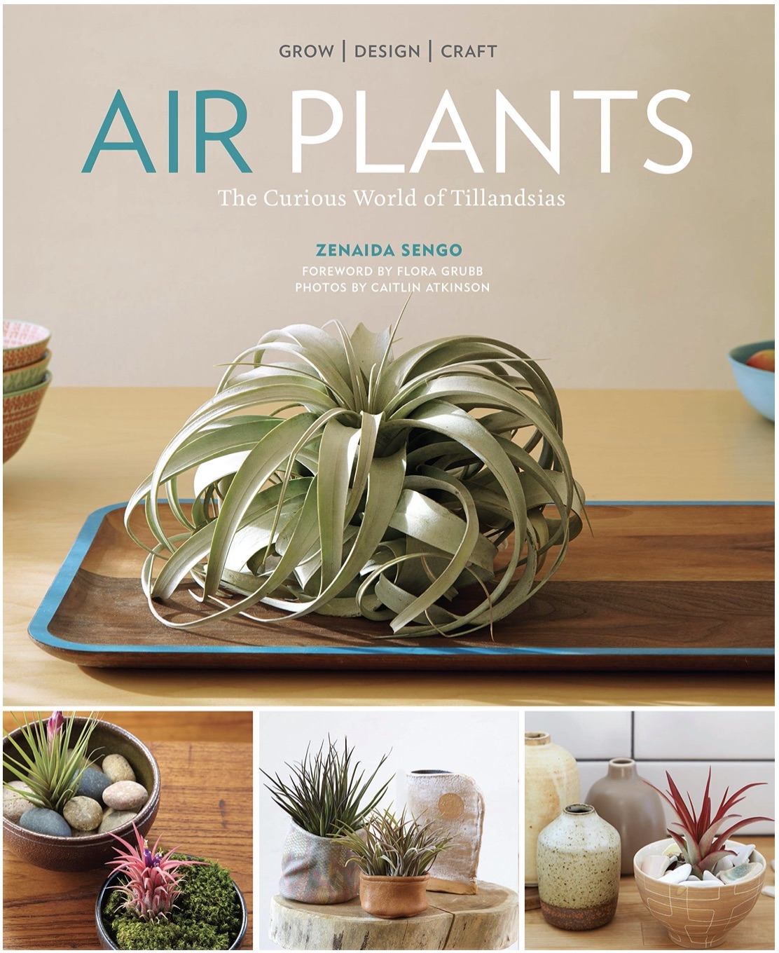 Air Plant book