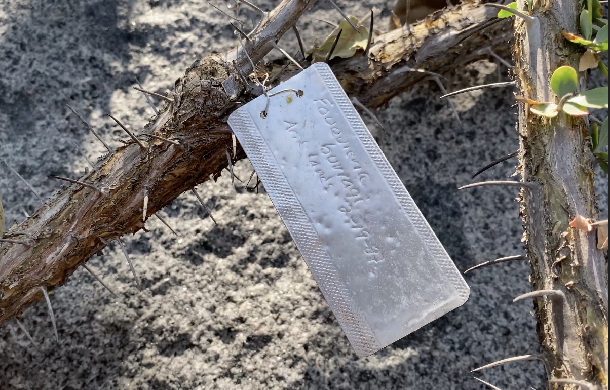 Aluminum plant tag you write on with a pen (c) Debra Lee Baldwin