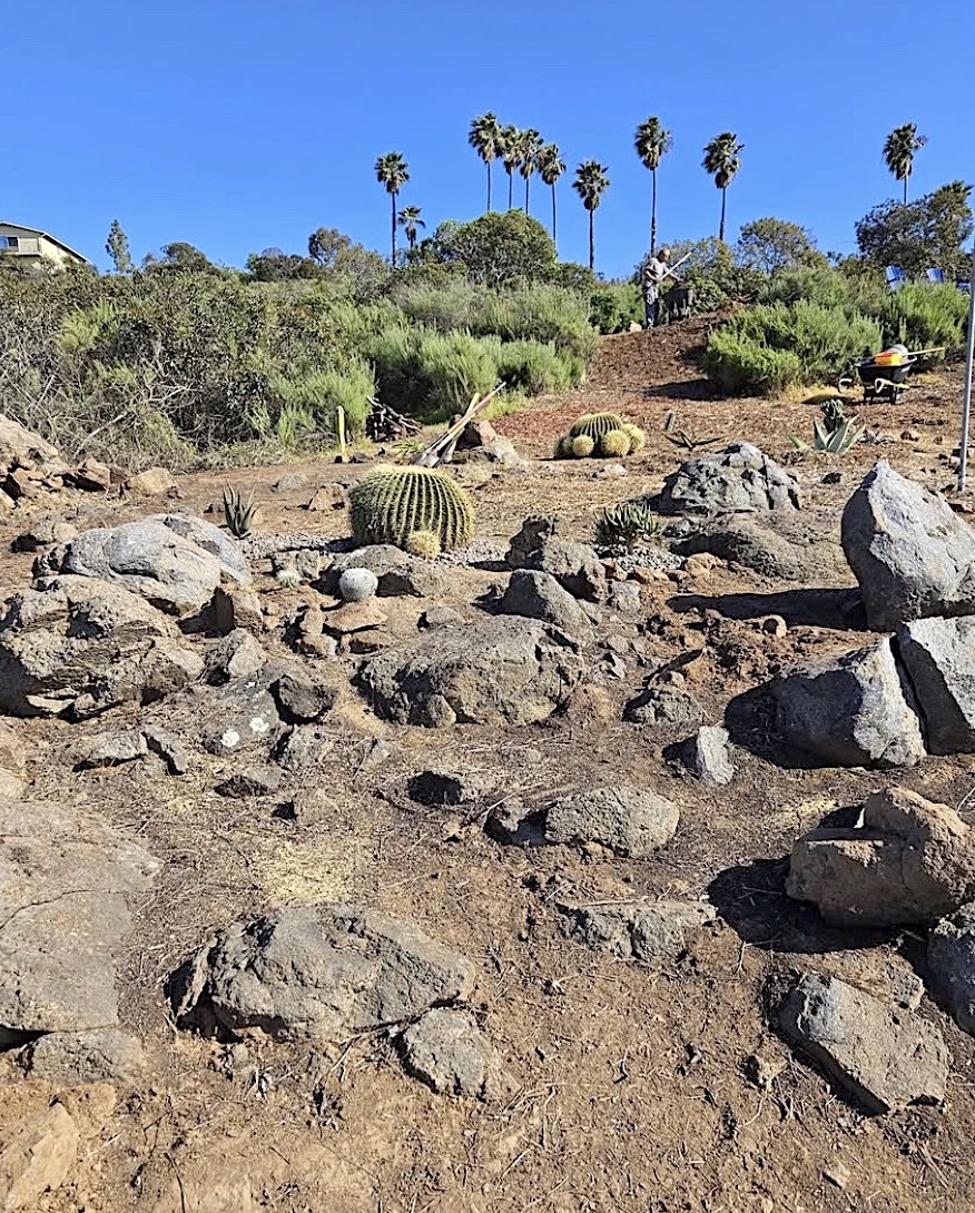 Rocky hillside prior to installation of succulent garden, Southern CA