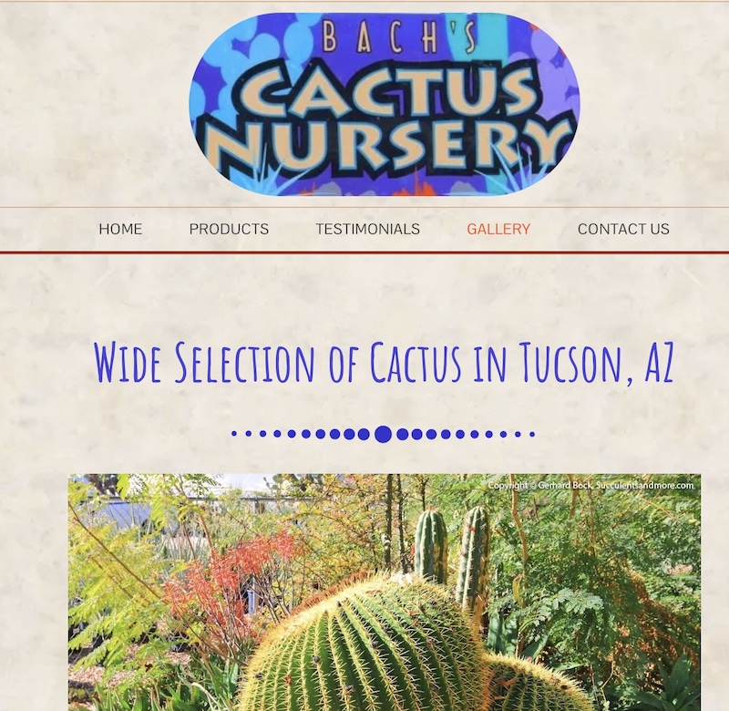 Best cactus & succulent nursery in Tucson (c) Debra Lee Baldwin