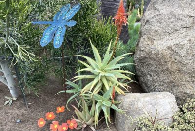 Blue dragonfly, orange metal flowers by Mark Rafter (c) Debra Lee Baldwin