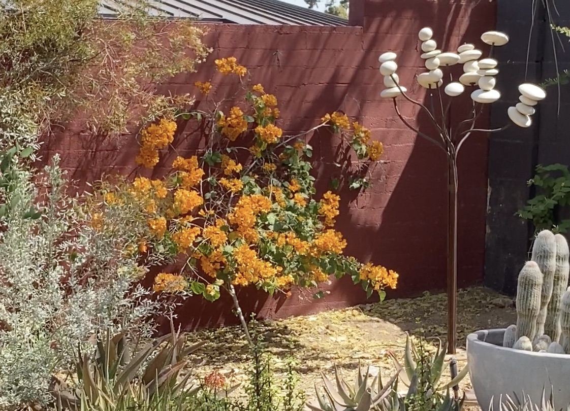 Orange bougainvillea in desert garden with sculpture by Janet Orr (c) Debra Lee Baldwin