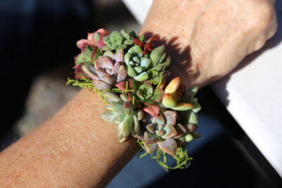 Succulent bracelet