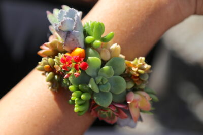 Succulent bracelet