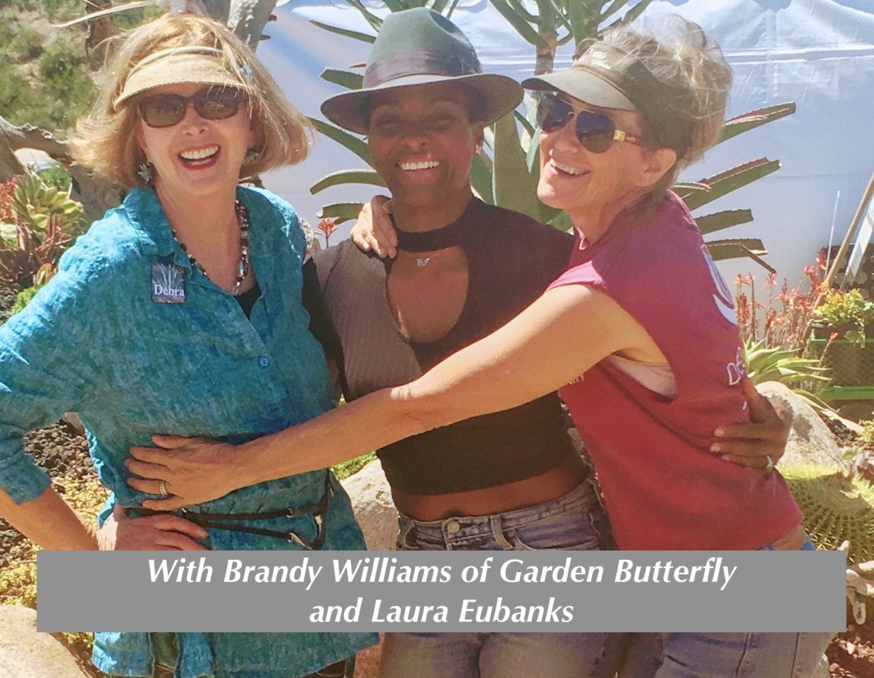 Brandy Williams of Garden Butterfly