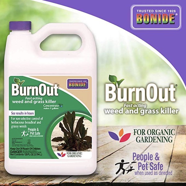BurnOut weed killer