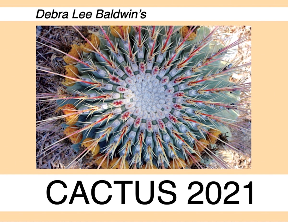 Cactus Calendar cover