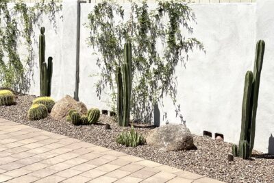 Cacti, gravel, boulders Succulent driveway (c) Debra Lee Baldwin