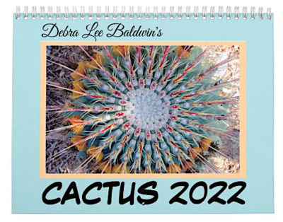 Cactus Calendar cover (c) Debra Lee Baldwin
