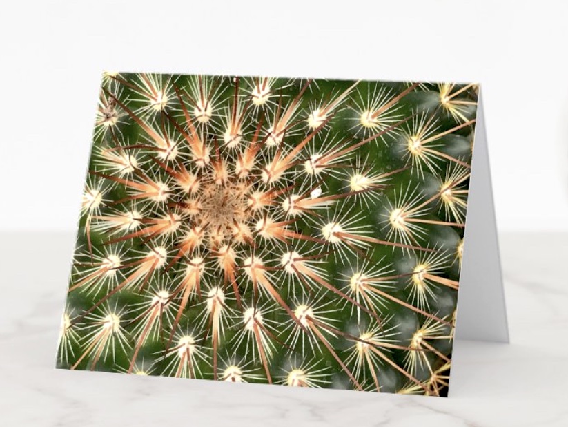 Succulent starburst holiday greeting card by Debra Lee Baldwin 