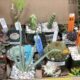 Collectible cactus & succulents at the show (c) Debra Lee Baldwin