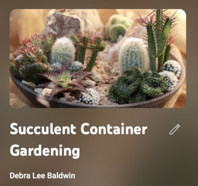 Succulent Container Gardening (c) Debra Lee Baldwin