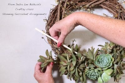 Stunning Succulent Arrangements class (c) Debra Lee Baldwin