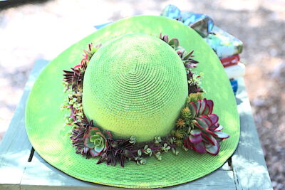 Succulent hat band