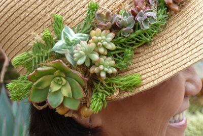 Succulents on visor