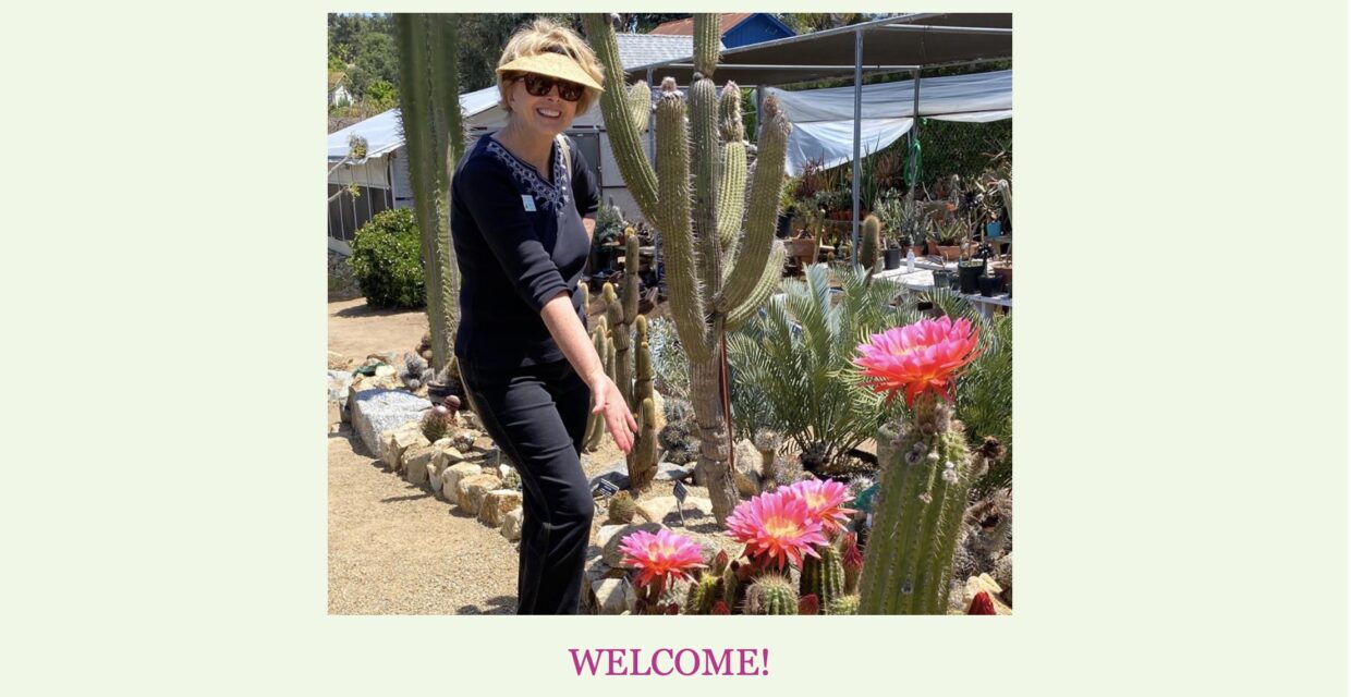 Debra Lee Baldwin with pink cactus