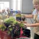 Debra Lee Baldwin's succulent potting demo (c) Debra Lee Baldwin