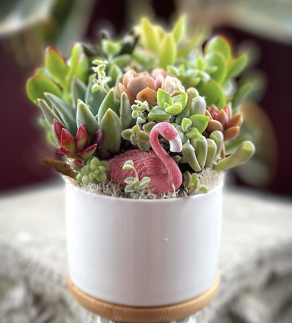 Succulent pot by Good Morning Cactus with flamingo