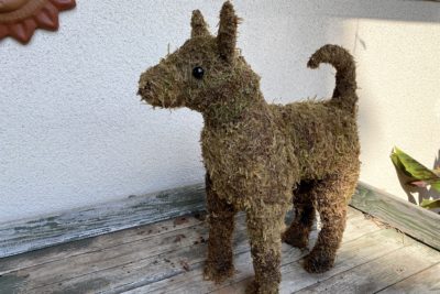 Dog topiary moss form unplanted (c) Debra Lee Baldwin