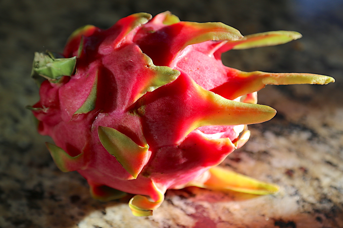 Edible Dragon Fruit–Pitaya Seeds easy growing Cacti/succulent indoor 