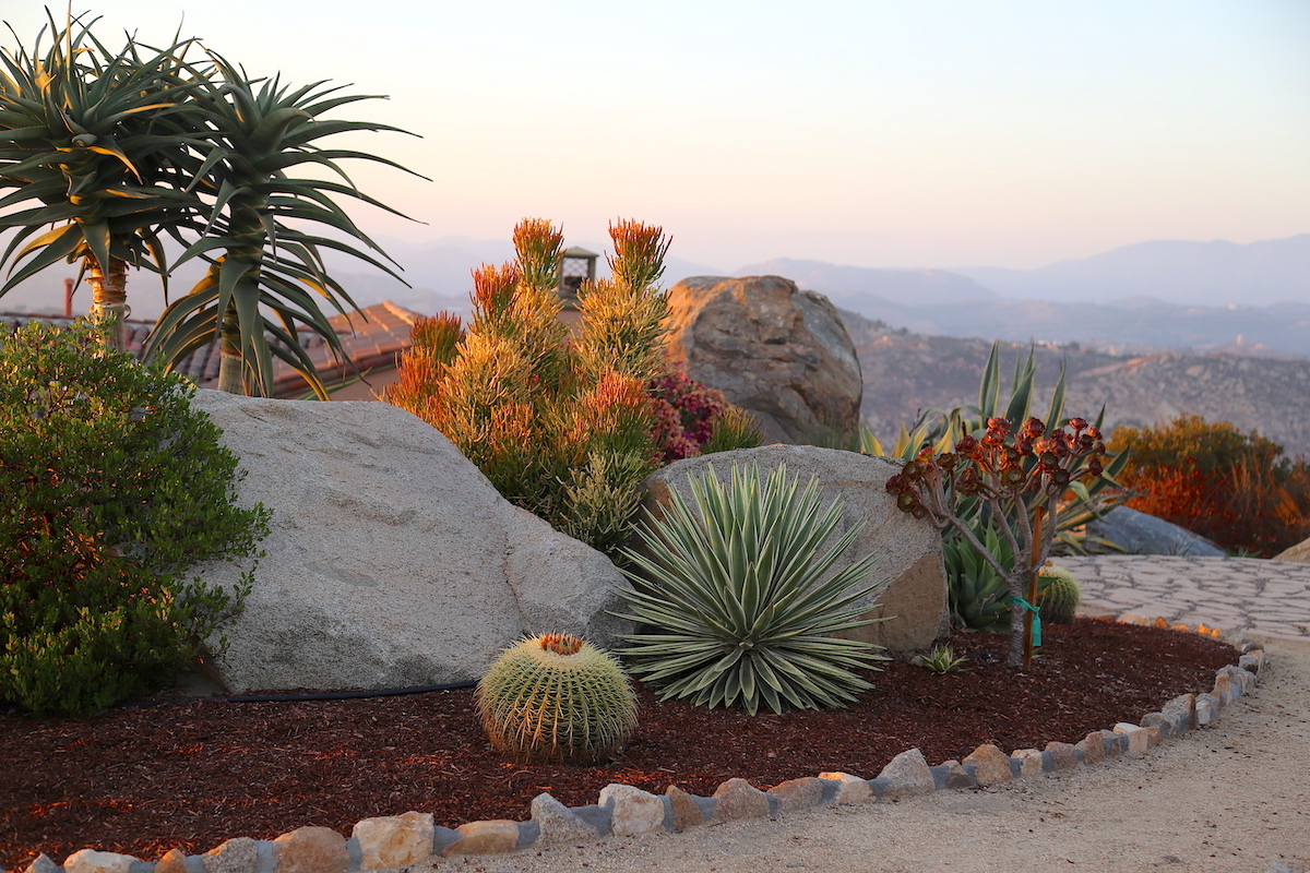 'Sticks on Fire' with boulders (c) Debra Lee Baldwin 