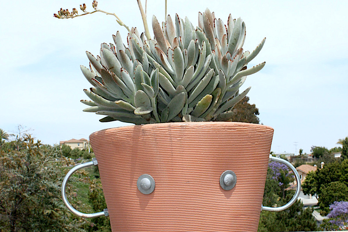 Face pot w Kalanchoe tomentosa (Children's garden at San Diego Botanic Gdn)