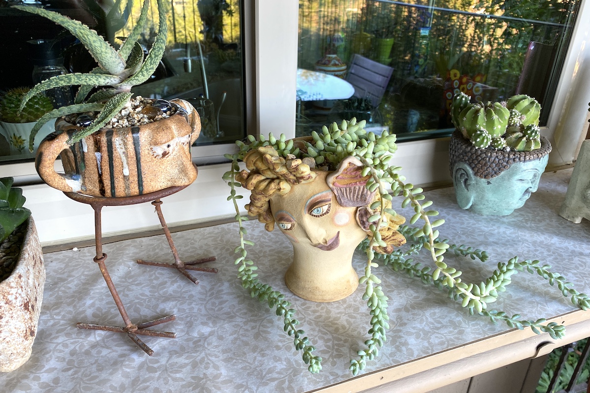 Succulent face pots on outdoor shelf