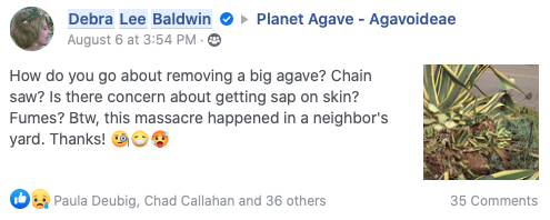 Facebook agave removal question