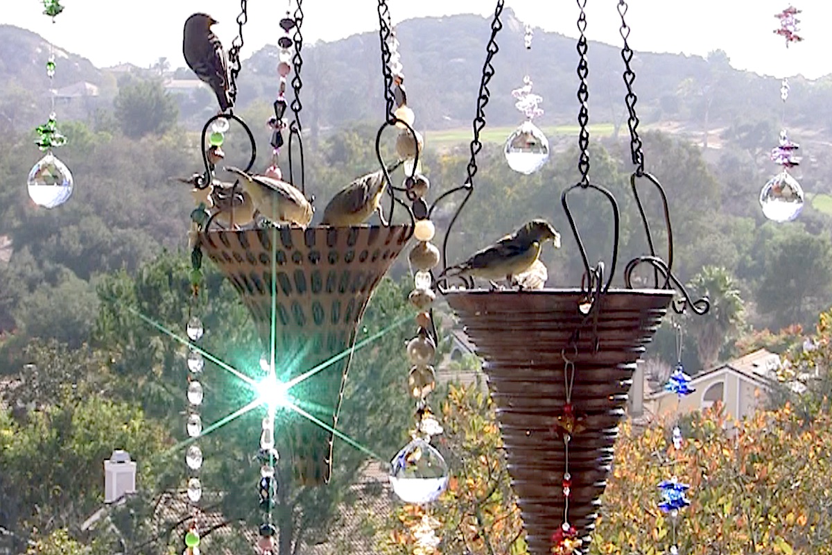 Hanging prism bird feeders (c) Debra Lee Baldwin