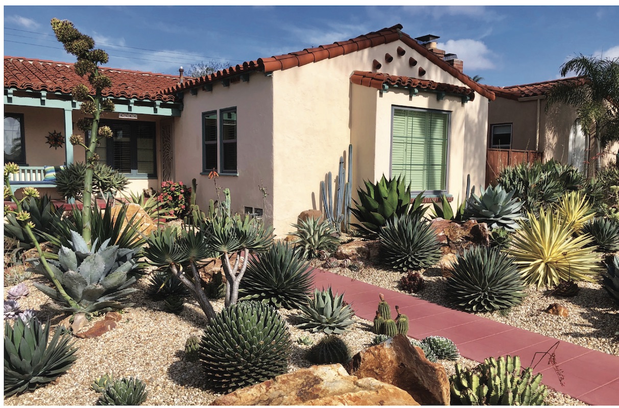 Agave garden by Jeremy Spath (c) Agaves by Jeremy Spath & Jeff Moore