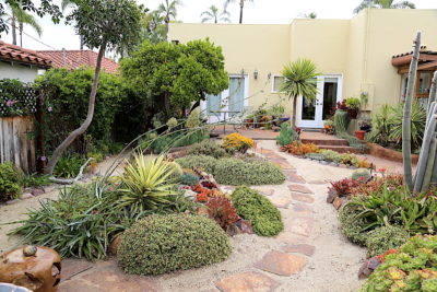 Garden with portulacarias (c) Debra Lee Baldwin