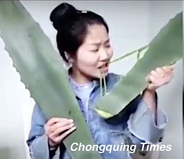 Girl eating agave 