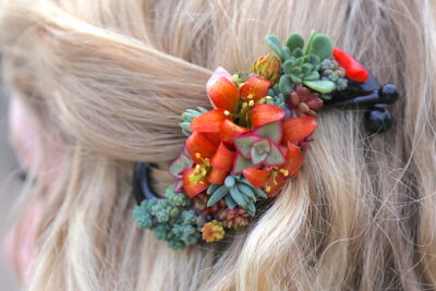 Succulent hair clip (c) Debra Lee Baldwin