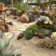 Hannah Eubanks Del Mar Fair Succulent display garden (c) Debra Lee Baldwin