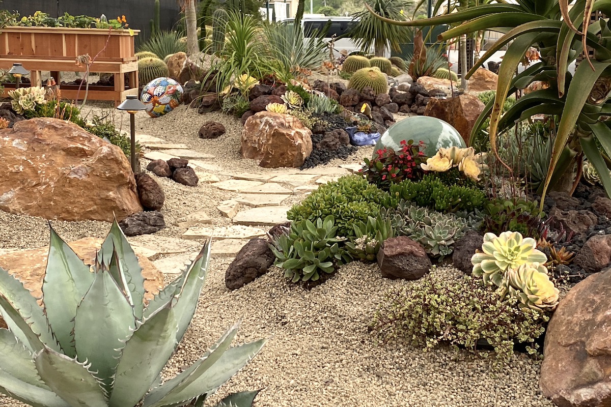 Hannah Eubanks Del Mar Fair Succulent display garden (c) Debra Lee Baldwin