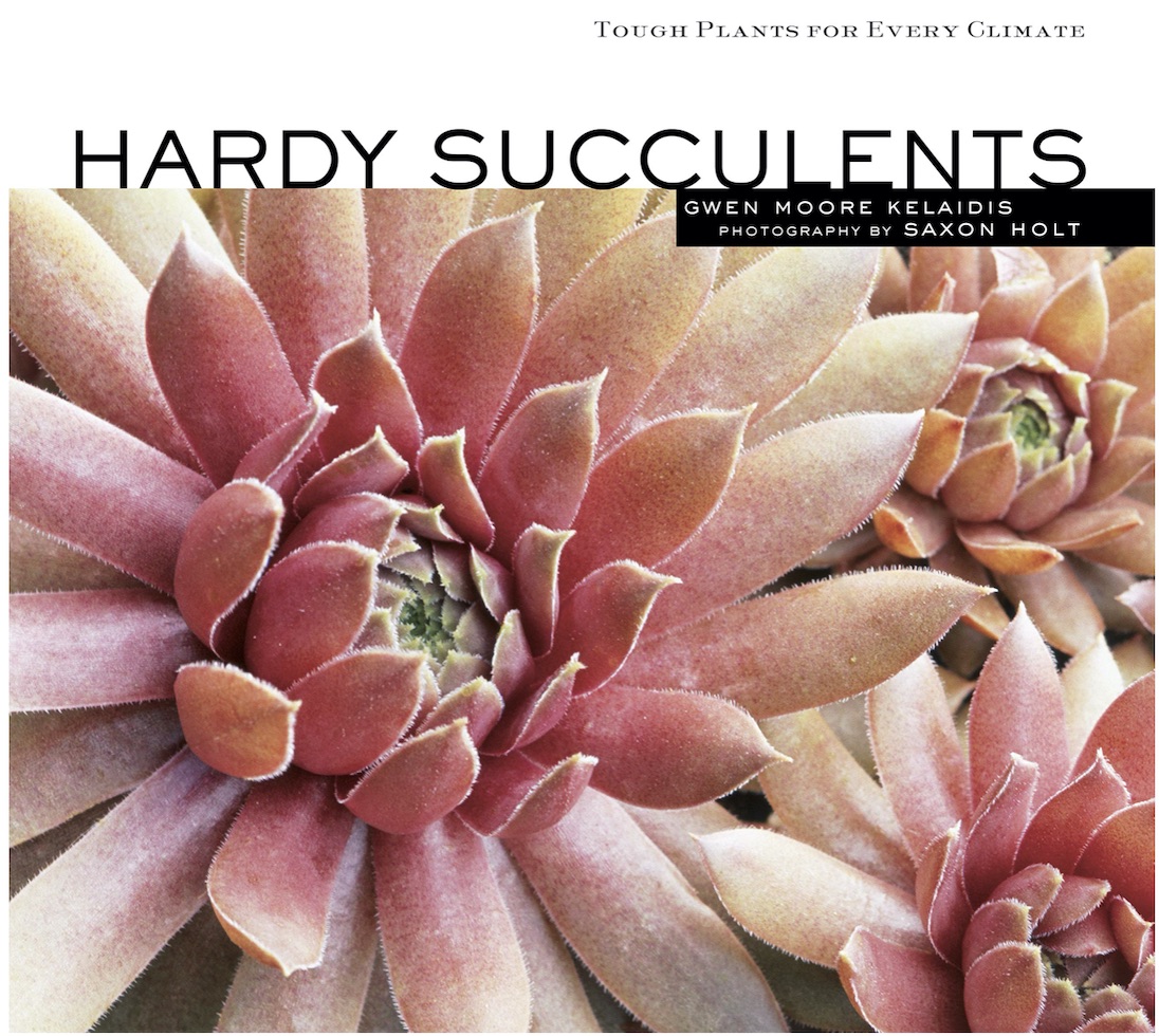 Book: Hardy Succulents 