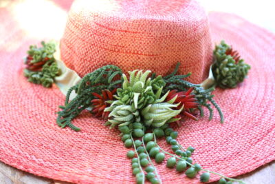 Succulent hat with string of pearls