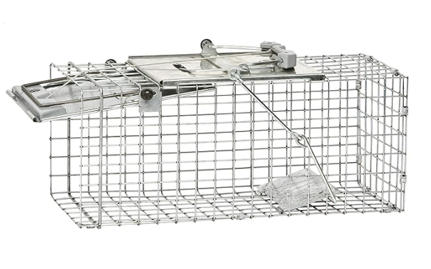 Havahart trap