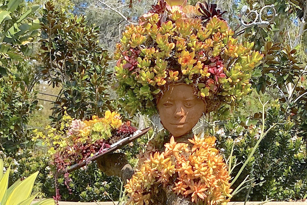 Succulent topiary dancer (c) Debra Lee Baldwin