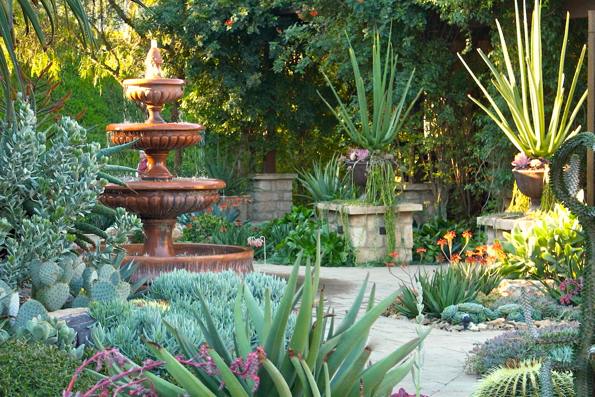Jeanne Meadow's Garden